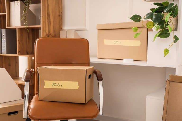 Cardboard moingboxes labbeled in and sitting in an office