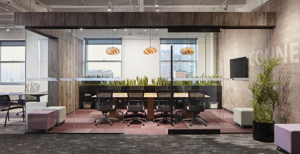 Plants in the conference room